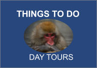 THINGS TO DO      DAY TOURS