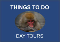 THINGS TO DO       DAY TOURS