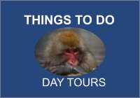 THINGS TO DO      DAY TOURS